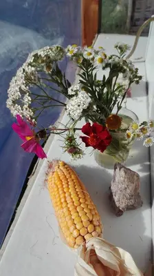 Nourriture dans le camping ou à proximité