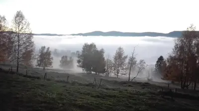 Paysage naturel près de le camping