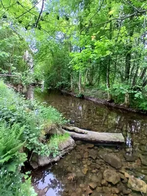 Paysage naturel près de l'appartement