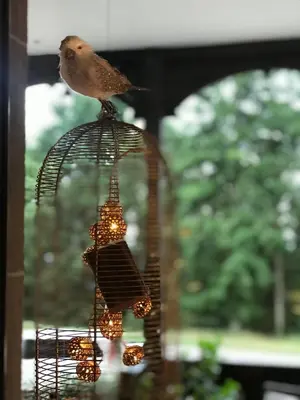 Animaux dans l'appartement ou à proximité