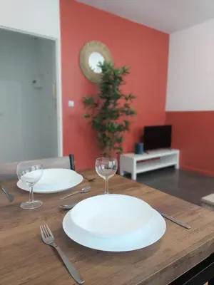 Télévision ou salle de divertissement dans l'établissement Cosy 1 - Mulhouse centre