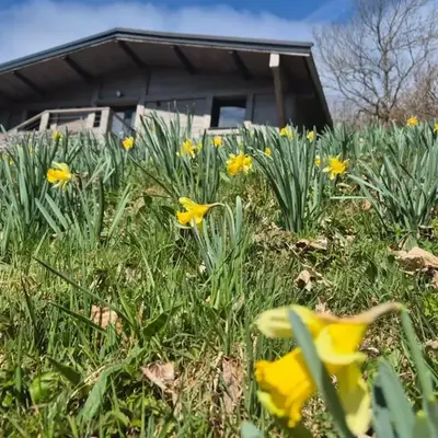 Chalet rénové avec sauna