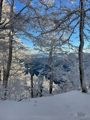 Paysage naturel près de l'appartement