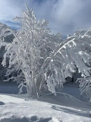 L'établissement L'escapade Vosgienne en hiver