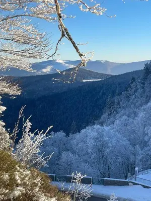 Paysage naturel près de l'appartement