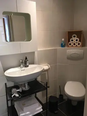 Salle de bains dans l'établissement Gite Les Hirondelles 6 pers Ribeauvillé