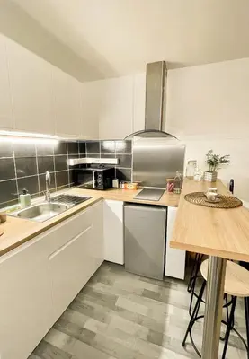 Cuisine ou kitchenette dans l'établissement Studio centre-ville Petite venise