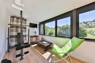 Télévision ou salle de divertissement dans l'établissement Spacious apartment, balneo and garden