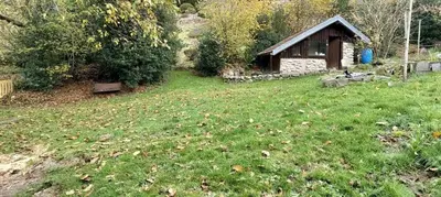 Jardin de l'établissement Hêtre pourpre