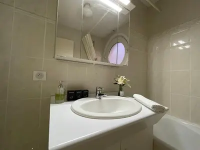 Salle de bains dans l'établissement Le Fleur Magnifique Appartement Saint-Louis