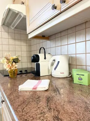 Cuisine ou kitchenette dans l'établissement Le Fleur Magnifique Appartement Saint-Louis