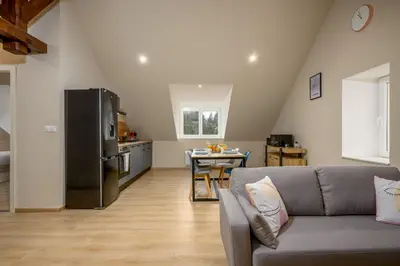 Cuisine ou kitchenette dans l'établissement Le 63-Appart'Hôtel-GregIMMO