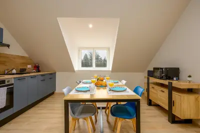 Cuisine ou kitchenette dans l'établissement Le 63-Appart'Hôtel-GregIMMO