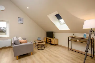 Télévision ou salle de divertissement dans l'établissement Le 63-Appart'Hôtel-GregIMMO