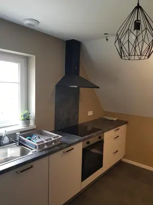 Cuisine ou kitchenette dans l'établissement Gite Au Nid de Cigognes