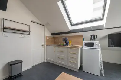Cuisine ou kitchenette dans l'établissement Studio D Quai de l Alma Mulhouse