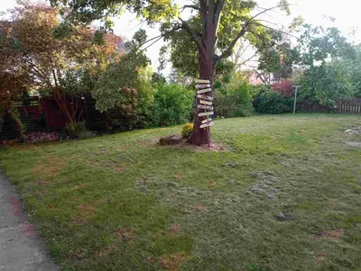 Jardin de l'établissement Maison de vacances centre Alsace
