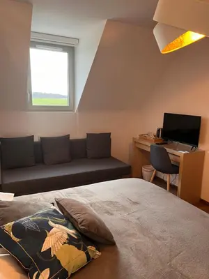 Télévision ou salle de divertissement dans l'établissement L'auberge du canal