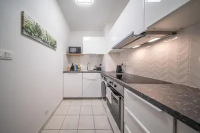 Cuisine ou kitchenette dans l'établissement Le Bâle 92A Appartement 6 Pers Parking Privé