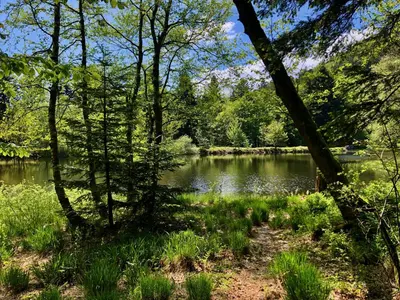 Paysage naturel près de la maison de vacances