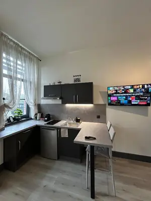 Cuisine ou kitchenette dans l'établissement Studio Anna