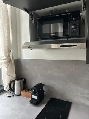Cuisine ou kitchenette dans l'établissement Studio Anna