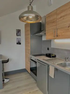 Cuisine ou kitchenette dans l'établissement Studio Eiffel