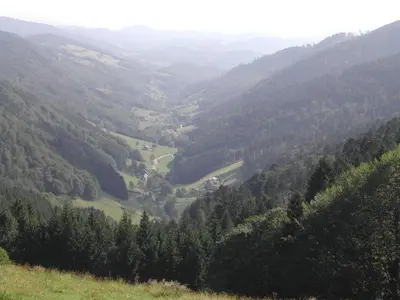 Paysage naturel près de l'appartement