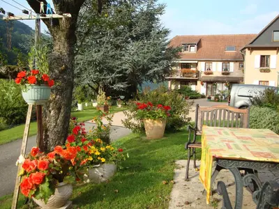 Jardin de l'établissement Gîte Les Hirondelles F2