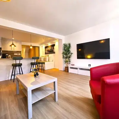 Magnifique T2-Chez François et Kamila - Centre historique- Parking privé 50m de l'appartement- balcon avec vue