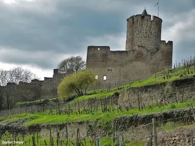 Plan de l'établissement Au coeur de Kaysersberg-Le Cocon de Jeanne