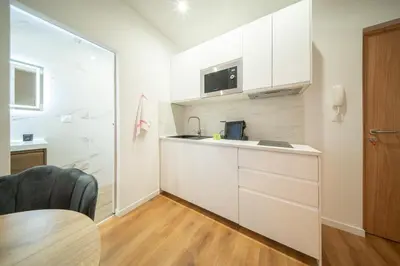 Cuisine ou kitchenette dans l'établissement Frontiere Suites 2 Saint-Louis Proche Bale