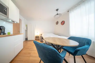 Cuisine ou kitchenette dans l'établissement Frontiere Suites 6 Saint-Louis Proche Bale