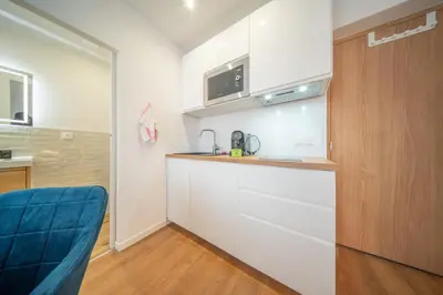 Cuisine ou kitchenette dans l'établissement Frontiere Suites 6 Saint-Louis Proche Bale