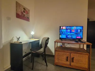 Télévision ou salle de divertissement dans l'établissement L'Arquebuse