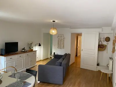Télévision ou salle de divertissement dans l'établissement Colmar Centre renovated cottage 4 people - terrace