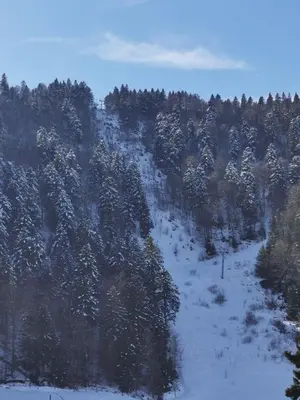 L'établissement Le Cocon de Litia en hiver