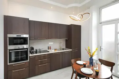 Cuisine ou kitchenette dans l'établissement LE LYNX HAUSSMANIEN appartement tout confort, climatisé avec parking privé, à deux pas du centre