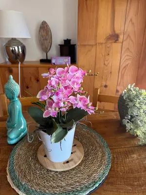 Plan de l'établissement Gîte au Manoir des Sens - Escapade insolite aux parfums et couleurs d Asie