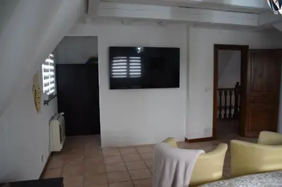 Télévision ou salle de divertissement dans l'établissement Villa Rixheim