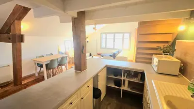 Cuisine ou kitchenette dans l'établissement f2 VUE INCROYABLe sur lac avec jardin avec balnéo et 400m centre
