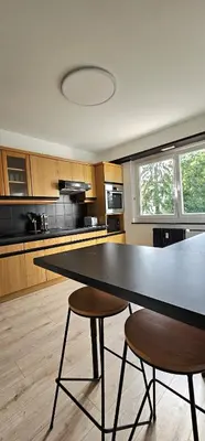 Cuisine ou kitchenette dans l'établissement Elegant & Peaceful - Private Parking