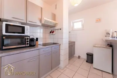 Cuisine ou kitchenette dans l'établissement Appartement L'Orient - Parking