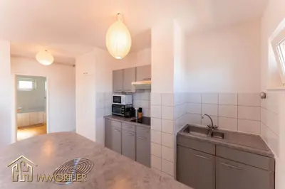 Cuisine ou kitchenette dans l'établissement Appartement L'Orient - Parking