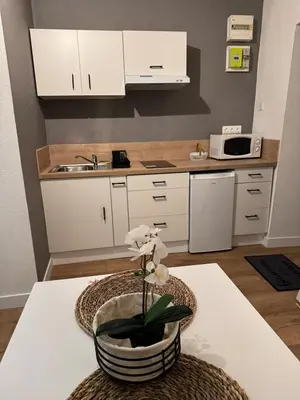 Cuisine ou kitchenette dans l'établissement Appartement centre ville