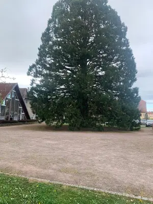 Plan de l'établissement Spacieux 120 metres carré tout confort