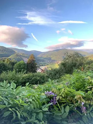 Paysage naturel près de l'hôtel