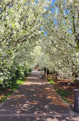 Jardin de l'établissement Appolon