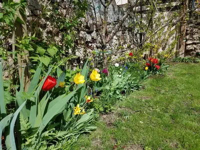 Jardin de l'établissement Chez Maria
