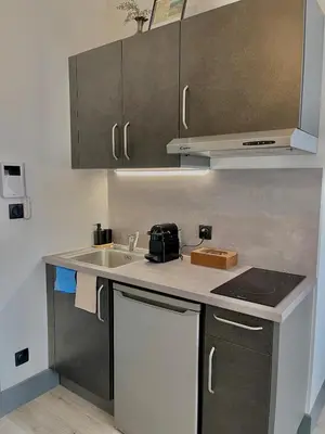 Cuisine ou kitchenette dans l'établissement Studio Marie-Louise